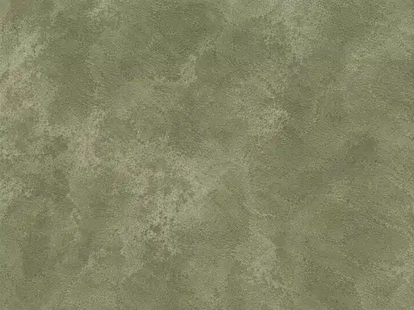 Sage Limewash Paint Texture Swatch